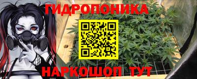 крисы Краснодар
