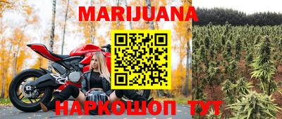 крисы Краснодар