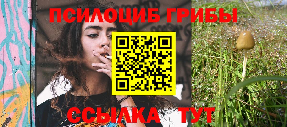 где можно купить наркотик  Вход с VPN  Кандалакша  Псилоцибиновые грибы Magic Shrooms  Псилоцибиновые грибы Magic Shrooms 