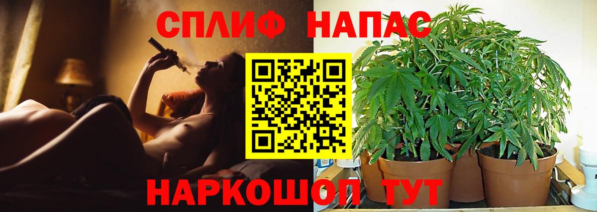 Каннабис план  Шишки марихуана конопля  Кандалакша  Шишки марихуана сатива  Вход с VPN 